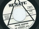 Garage Psych - The Basement Wall SENATE 2109 Never existed / Taste of a kiss  ?