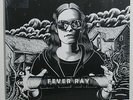 FEVER RAY (self titled) Vinyl LP (Karin Dreijer from The Knife) NEW/SEALED