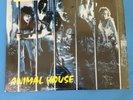 U.D.O. - Animal House /  Catalog 6881-1-R