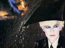 Japan - Gentlemen Take Polaroids [VINYL]