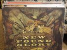 New Found Glory Not without a Fight Grey Vinyl Gatefold Cover