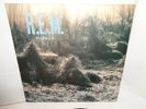 R.E.M. Murmur, LP. 1983, Excellent Condition