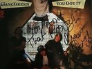 GANG GREEN - You Got It  Signed Autographed SSD Negative FX Freeze F.U.'s