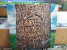 DODGY FREE PEACE SWEET ORIGINAL VINYL LP RECORD SIGNED BY BAND ON FRONT COVER