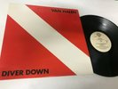 Van Halen Diver Down w/inner Metal Record lp original vinyl album