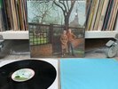 Fairport Convention - Unhalfbricking Vinyl Record LP (1969) UK Pink Rim Island