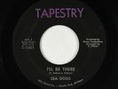 Psych Fuzz 45 - Sea Dogs - I'll Be There - Tapestry - mp3