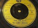Garage Power Pop Punk 45 Flamin' Groovies Shake Some Action / Teenage SIRE HEAR