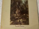 1971 Van Morrison Tupelo Honey LP Warner  Promo Near Mint