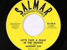 Psych 45 - Morning Sun - Let's Take A Walk In The Woods - Salmar - mp3