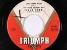 R&B Rocker 45 - Little Marie Allen - Humdinger - Triumph - mp3