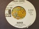 U.K. Heavy Rock Blaster 45 Budgie Crash Course in Brain Surgery Promo NM HEAR