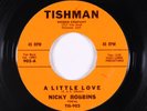 R&B Soul Popcorn 45 - Nicky Robbins - A Little Love - Tishman - mp3