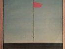 Wire : Pink Flag Vinyl Album