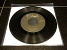 Cuca 1081 The New Dynamics / 
