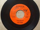 Willis Sanders & Embers DOOWOP 45 Your Souvenir / Taking A Chance ORIG VG++ HEAR