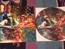 *** Led Zeppelin Picture LP *  Kashmir * Spezial Auflage  Limitiert ***