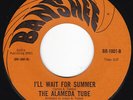 CA Jazz Funk Psych Surf ALAMEDA TUBE I'll Wait For Summer 45 Banshee HEAR