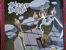 We Are Not Amused LP by Straw Dogs vinyl 1986 VG+ 72181-1 Restless Records
