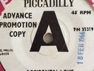 The Loving Kind,Accidental Love ,DEMO,N. Mint,Piccadilly.Mod,Freakbeat,JIMI