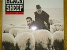 Black Sheep ?– A Wolf In Sheep's Clothing 12