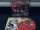 Yeah Yeah Yeahs - Fever To Tell - Debut Original - Picture Disc LP Vinyl Record