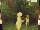 The World Is A Beautiful Place TWIABP 