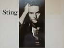 STING - Nothing Like the Sun - 33 Tours - 1987