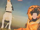 MOLOKO - the Flipside Mixes 1 (Herbert, All Seeing I Rmxs) - Echo