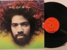 12“ LP Bobby Lyle-The Genie US Jazz Funk