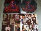 Death Scream Bloody Gore Picture Disc Brand New NM Vinyl LP OOP Pic Disk Leprosy