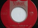 Garage Rock DENNIS PROVISOR It Really Tears Me Up / She's Not Mine Anymore