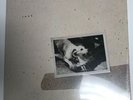 FLEETWOOD MAC TUSK VINYL, NEW, 1979 WARNER BROS, 2HS-3350 - SEALED (11)