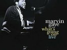 MARVIN GAYE - WHAT'S GOING ON NEW VINYL