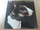 PIXIES - HERE COMES YOUR MAN - VERY GOOD++