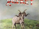 (SANDY) ALEX G - Rocket - Vinyl (gatefold 180 gram vinyl LP + MP3 download code)