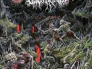 Outer Heaven - Realms Of Eternal Decay NEW Sealed Vinyl LP Album