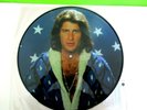 Mike Brant 33Tours vinyle picture disc collector L'Inoubliable 