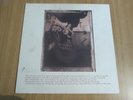 PIXIES - SURFER ROSA - A1/B1  - INNER SLEEVE - VERY GOOD