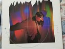 ??? ???? vinyl  Christopher Wong