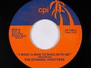 70s Soul 45 - Dynamic Upsetters - I Want A Man To Shag With Me - CPI - VG++ mp3