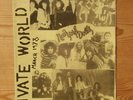 PRIVATE WORLD #4 1978 IRISH PUNK FANZINE NEW YORK DOLLS RUDI EATER PATTI SMITH
