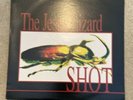 The Jesus Lizard Shot Translucent Red Vinyl Ltd Edition