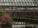 Merzbow Hyakki Echo HYBRID Dirter Promotions 2017 NEW