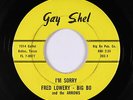 Northern Soul 45 - Fred Lowery/Big Bo & the Arrows - I'm Sorry - Gay Shel - mp3