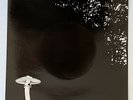 KATE BUSH Breathing 7