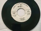 ROCKABILLY- BILL HAYES- 