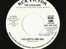 Northern Soul 45 - Cavaliers - I've Gotta Find Her - RCA Victor - VG++ mp3