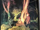 Echo And The Bunnymen Crocodiles Album Vinyl