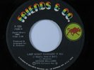 Funk Breaks 45 ESTHER WILLIAMS Last Night Changed It All FRIENDS & CO VG+ HEAR